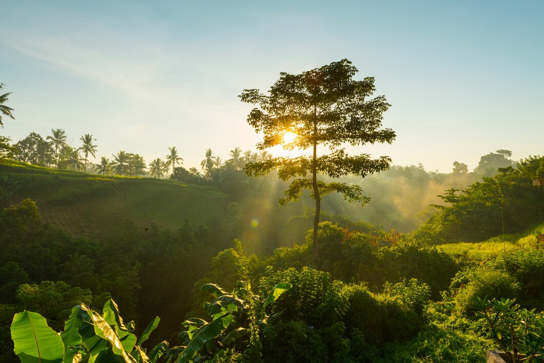 Sustentabilidade